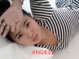 ANGIE231