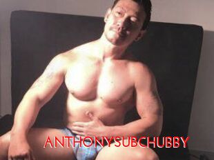 ANTHONYSUBCHUBBY