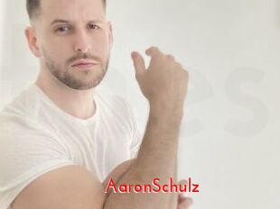 AaronSchulz