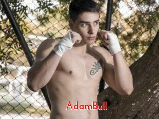 AdamBull