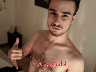 AleyModel