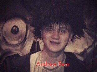 Andrew_Bear