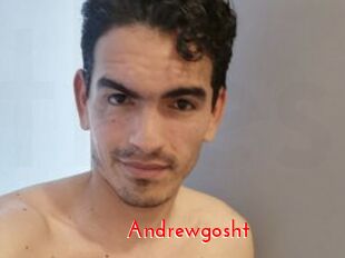 Andrewgosht