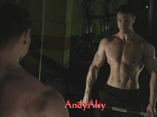 AndyAlsy