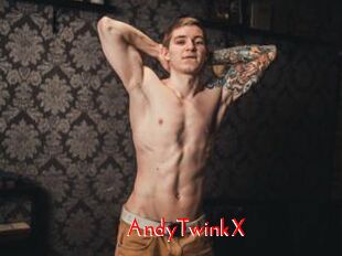 AndyTwinkX