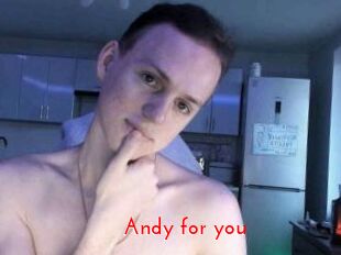 Andy_for_you