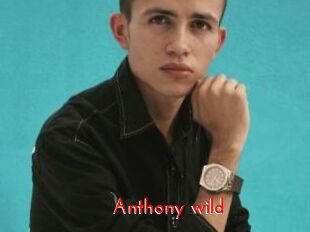 Anthony_wild