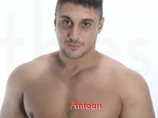 Antoan