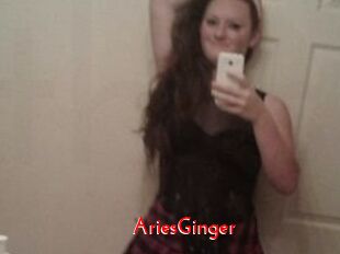 AriesGinger