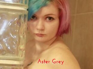 Aster_Grey