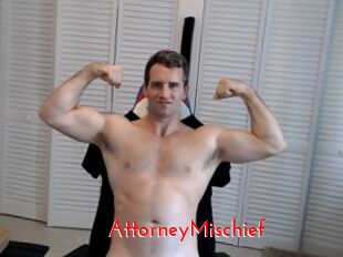 AttorneyMischief