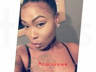 Acacia_rowe