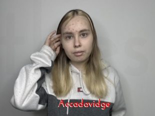 Accadavidge