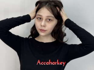 Accaharkey