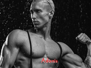 Adonis_