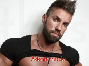 Adonis_muscles