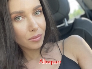 Alicepurr