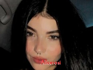 Alicerosi