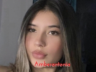 Amberantonia