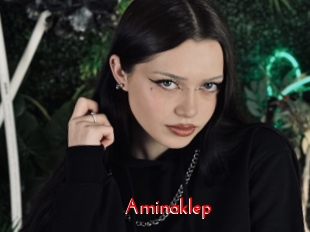 Aminaklep