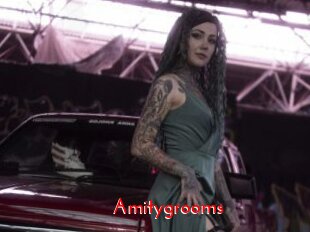 Amitygrooms