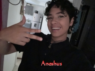 Anashus