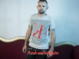 Andressholguin