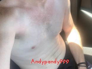 Andypandy999