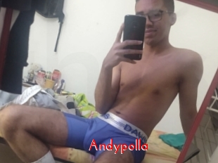 Andypolla