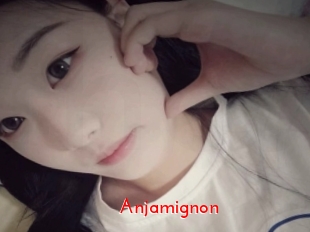 Anjamignon