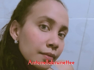 Antonellabrunettee