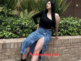 Antonellachan