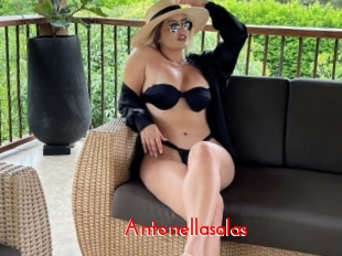 Antonellasalas