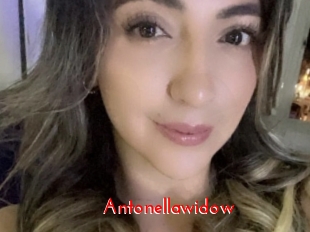 Antonellawidow