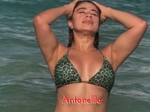 Antonellla