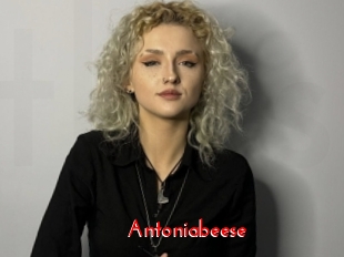 Antoniabeese