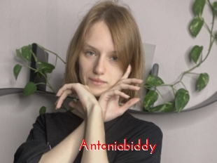 Antoniabiddy