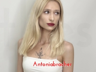 Antoniabracher