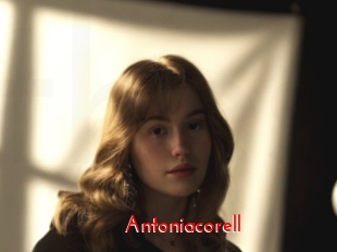 Antoniacorell