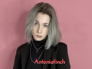 Antoniafinch