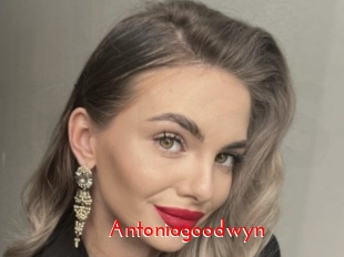 Antoniagoodwyn