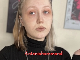 Antoniahammond