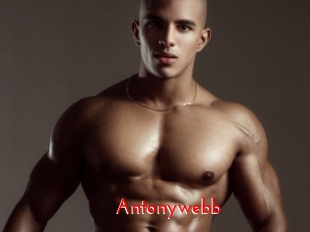 Antonywebb