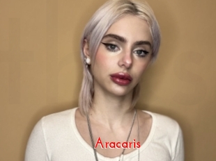 Aracaris