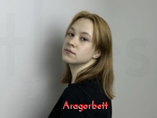 Aragorbett