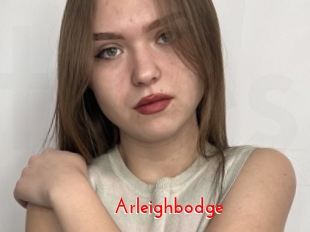 Arleighbodge