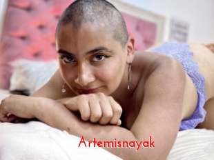 Artemisnayak