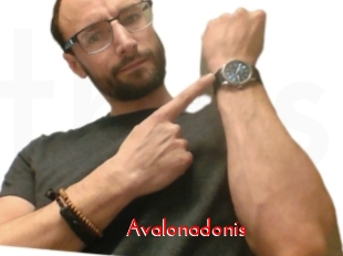 Avalonadonis