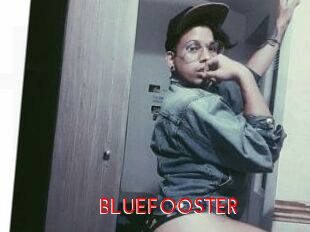 BLUEFOOSTER