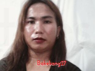 Bakekang27